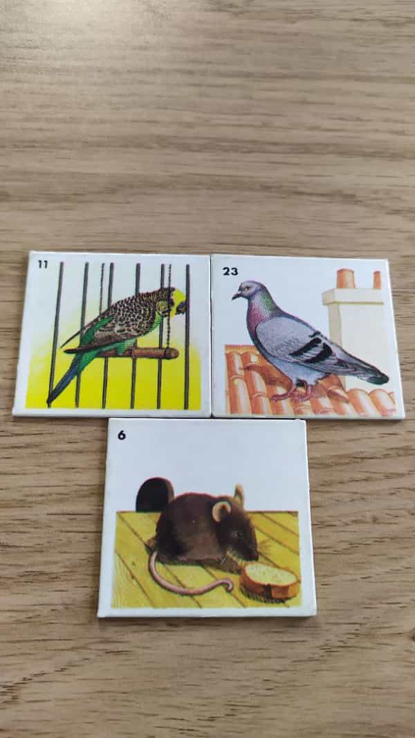 Loto-Animaux familiers
