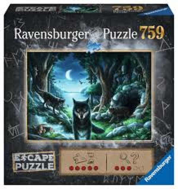 Escape puzzle-Histoire...