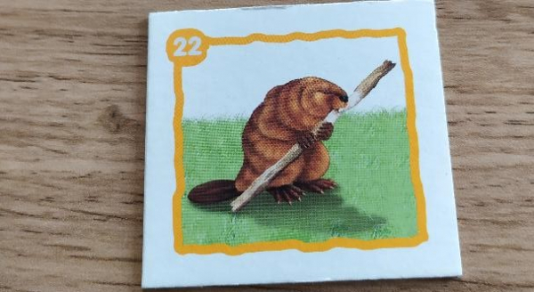 Loto-Animaux sauvages